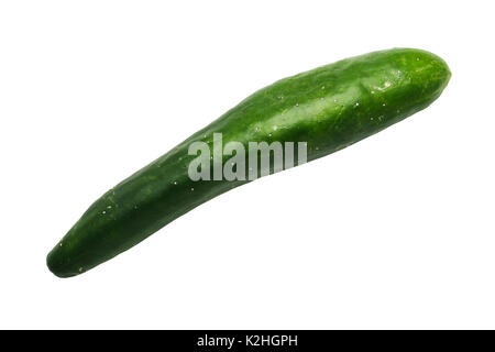 A homegrown organic cucumber on a white background Stock Photo