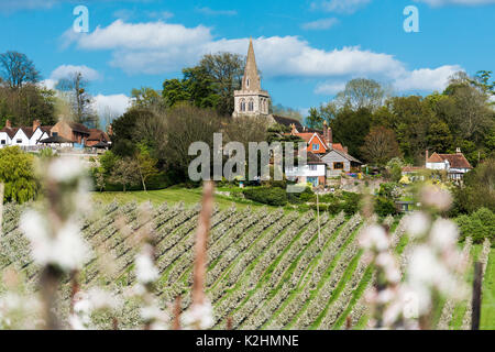 Linton Village just outside on Maidstone in Kent, England. St Nicholas Church being the key feature of the village Stock Photo