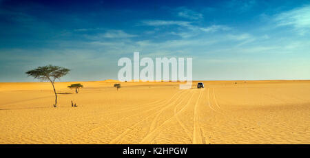 The vast Sahara desert in the Tagant region. Mauritania Stock Photo