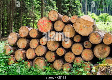 Stacked tree trunks with marks in Taunus, Germany. Stock Photo