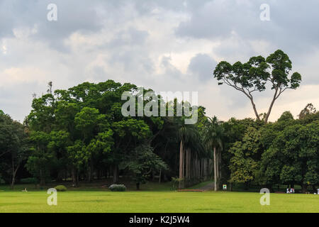 Royal Gardens of Peradenia near Kandy, Sri Lanka Stock Photo