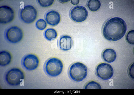 Harmonic backgrounds (screensaver). Air bubbles in water (bleb) on light, smooth surface. Interior design, design creativity, Stock Photo