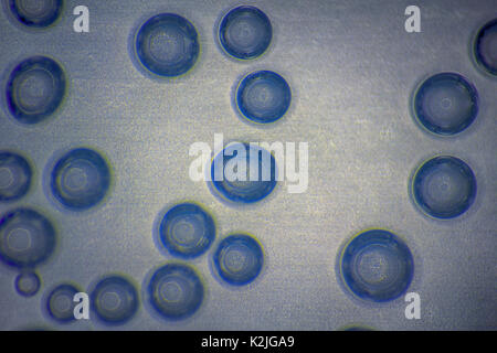 Harmonic backgrounds (screensaver). Air bubbles in water (bleb) on light, smooth surface. Interior design, design creativity, Stock Photo