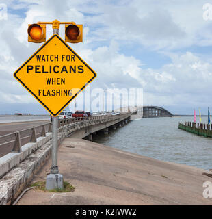 Pelican warning sign, Queen Isabella Memorial Bridge Causeway between San Isabel and South Padre Island, Texas, USA Stock Photo