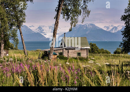 A Homesteaders Log Cabin Overlooking Kamishak Bay And The Kenai