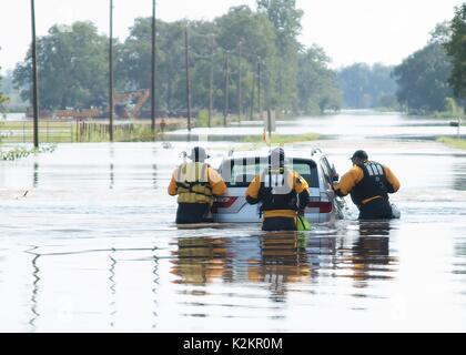 Wharton, United States. 31st Aug, 2017. Urban rescue team members from New Jersey Task Force 1 rescue a stranded driver caught in flood waters in the aftermath of Hurricane Harvey August 31, 2017 in Wharton, Texas. Credit: Planetpix/Alamy Live News Stock Photo