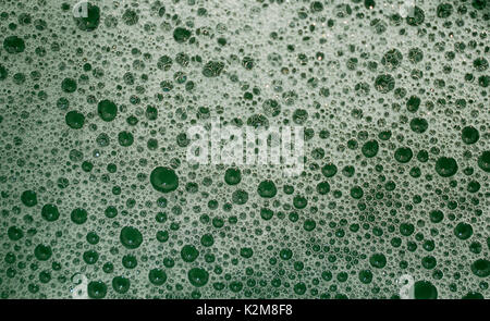 Green bubbles and foam, texture and pattern, made from cleaning products, closeup macro Stock Photo