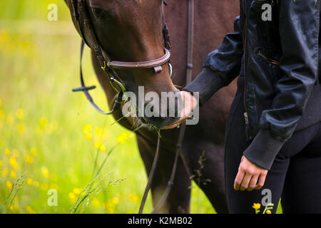 Close-up of woman feeding her arabian horse with snacks in the field