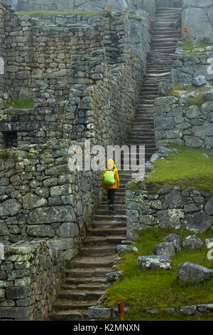 Tourist on stone stairway in the rain, Machu Picchu Inca ruins (World Heritage Site), Sacred Valley, Peru, South America (MR) Stock Photo