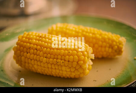 Cooked Corn on the Cob on a plate and ready to eat Stock Photo