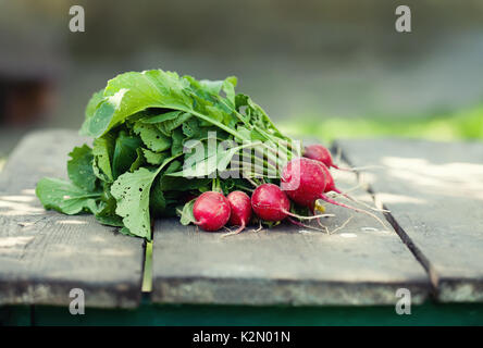 Ripe radish on wooden table background. Farmers food still life. Shallow depth field, selective focus Ripe radish on wooden table background. Farmers food still life. Shallow depth field, selective focus