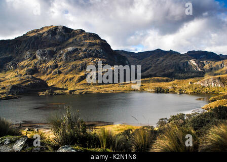 Toreadora lake.  Cajas National Park (Spanish: Parque Nacional Cajas) in the highlands of Ecuador. It is located about 30 km west from Cuenca. Provinc Stock Photo