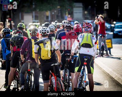 Cycling to work London. London Commuter cyclists on a cycle lane on Westminster Bridge. Bike Commuters queue at traffic lights. Stock Photo