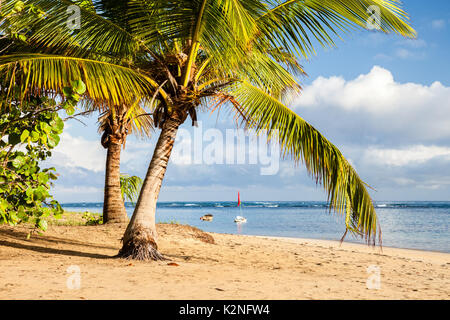 Tropical beach in Samaná, Dominican Republic Stock Photo