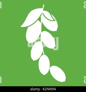 Branch of cornel or dogwood berries icon green Stock Vector