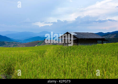 Rice terraces in Chiang Mai, Thailand Stock Photo