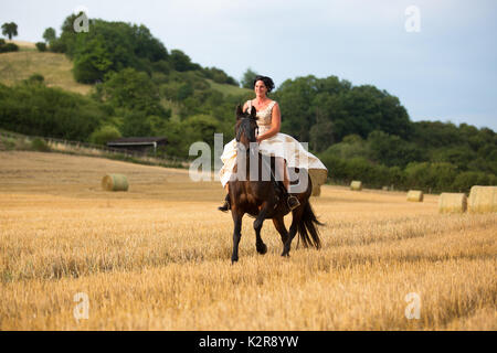 mature woman riding an Andalusian horse in the field Stock Photo