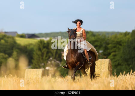 mature woman riding an Andalusian horse in the field Stock Photo