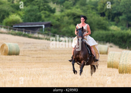 mature woman riding an Andalusian horse in the field Stock Photo