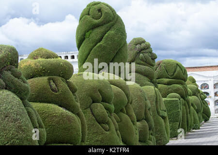 May 16, 2017 Tulcan, Ecuador:the evergreen cypress topiary is the most elaborate in the Americas Stock Photo