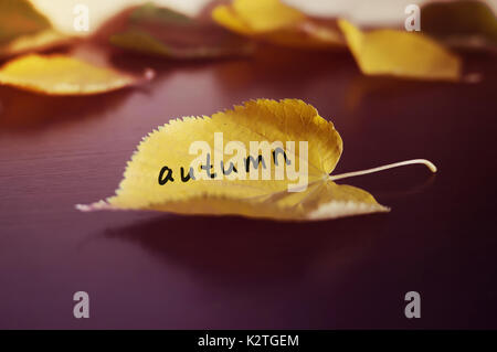 Long yellow leaf with the inscription AUTUMN on the black wood background Stock Photo