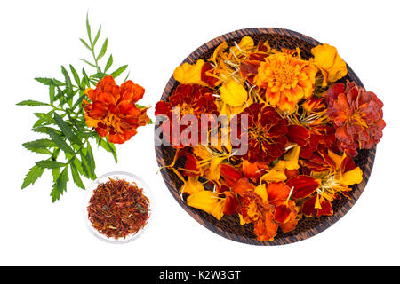 Flowers, petals and seeds of marigolds. Studio Photo Stock Photo