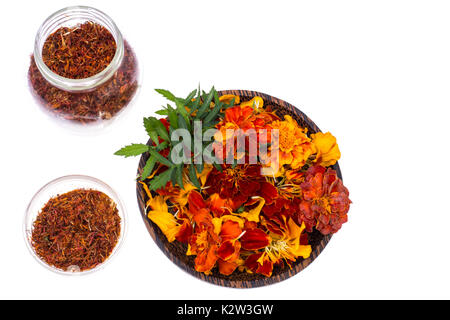 Flowers, petals and seeds of marigolds. Studio Photo Stock Photo