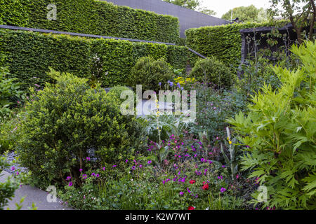 The Linklaters Garden for Maggie's.  Designer Darren Hawkes.  Gold medal Stock Photo