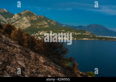 Dramatic image after a vegetation fire in Montenegro Stock Photo
