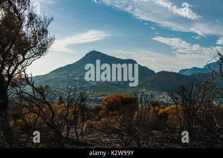 Dramatic image after a vegetation fire in Montenegro Stock Photo