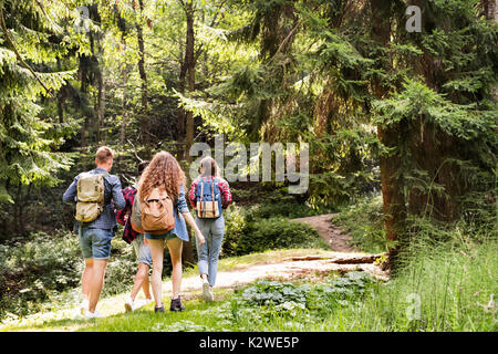 Teenagers with backpacks hiking in forest. Summer vacation. Stock Photo