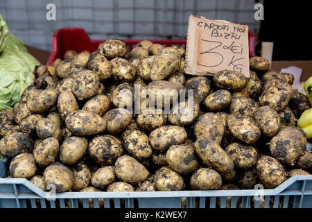 Potatoes for sale in the market of Rădăuți, Romania (Sign says: "New fresh Potatoes, 3 Lei/Kg") Stock Photo