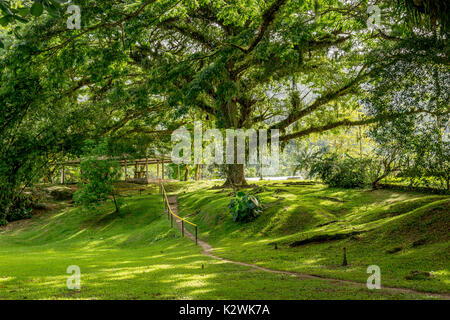 Lopinot Historical Complex Stock Photo - Alamy