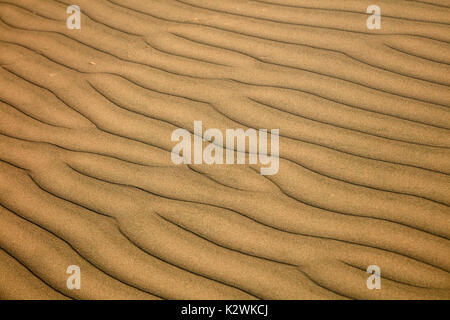 Ripples on sand dunes in desert near Huacachina Oasis, Ica, Peru, South America Stock Photo
