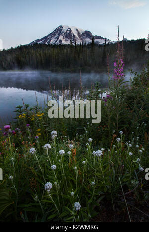 Mt. Rainier, morning fog, Reflection Lake, Mt. Rainier National Park ...