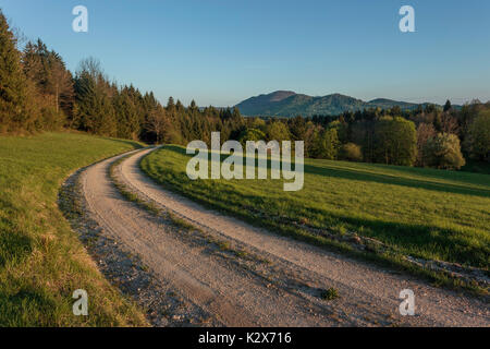 Kunc, grassy field in the middle of the wilderness in Kocevski Rog, Southern Slovenia Stock Photo