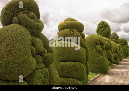 evergreen cypress topiary in the Tulcan Ecuador cemetery a popular tourist destination Stock Photo