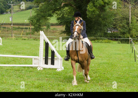 Young rider and her horse competing in the show jumping at the annual Ceiriog Valley Sheep Dog Trials in Glyn Ceiriog North Wales Stock Photo