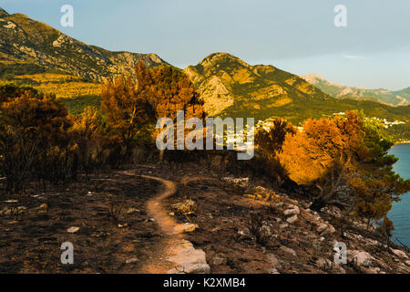 Dramatic image after a vegetation fire in Montenegro Stock Photo