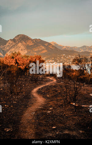Dramatic image after a vegetation fire in Montenegro Stock Photo
