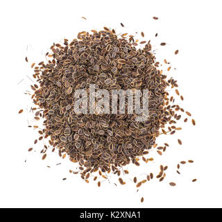 Dried dried fennel seeds on white background. Studio Photo Stock Photo