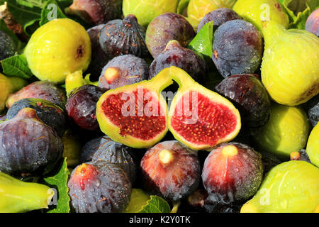 freshly picked green and blue figs, sliced fruits Stock Photo