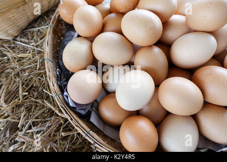 Hen eggs basket on straw - fresh farmer's eggs - closeup Stock Photo