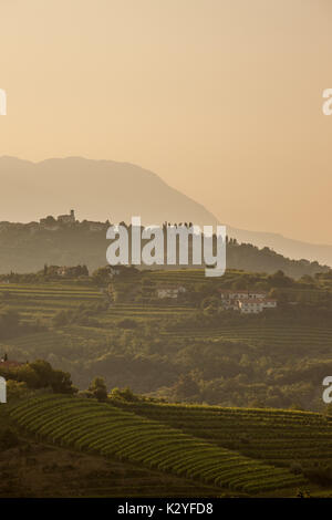 Goriška brda is a big vineyard region in western Slovenia, near the border with Italy. They are known as Slovenian Tuscany and wine called Rebula. Stock Photo