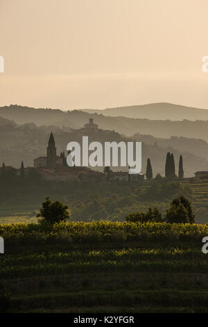 Goriška brda is a big vineyard region in western Slovenia, near the border with Italy. They are known as Slovenian Tuscany and wine called Rebula. Stock Photo