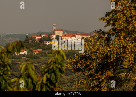 Goriška brda is a big vineyard region in western Slovenia, near the border with Italy. They are known as Slovenian Tuscany and wine called Rebula. Stock Photo