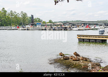 Kowaliga Marina on Lake Martin, Alabama, USA with numerous boats and families for summer boating fun. Stock Photo