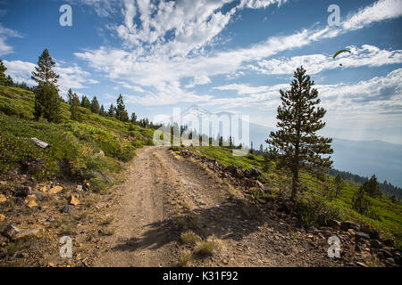 The paraglider is flying near the Whaleback launch close to Mount Shasta in Northern California Stock Photo