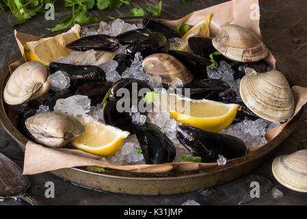 Mussels and Clams on ice Stock Photo