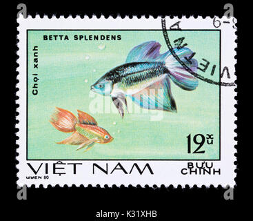Postage stamp from Vietnam depicting a Siamese fighting fish (Betta splendens) Stock Photo
